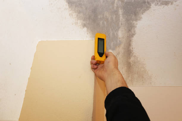 Best Mold Prevention Services  in Ottawa Hills, OH